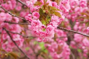 无锡梁溪区1线下个人借款平台一站式服务，轻松解决资金难题