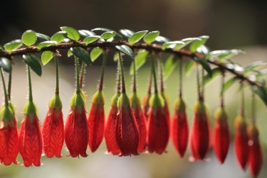 无锡梁溪区1零用贷短借：轻松解决临时资金需求